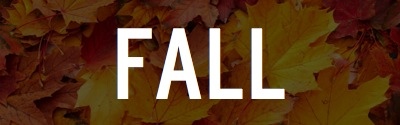 fall-leaves-background-20807-21344-hd-wallpapers1