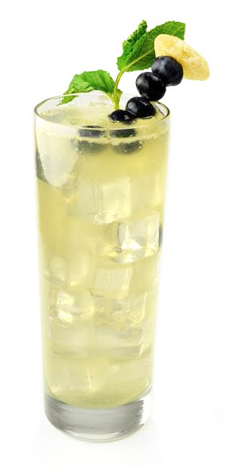 Q Garden Mule